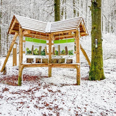 Alte Schule Winterberg Luxury Apartments Екстер'єр фото