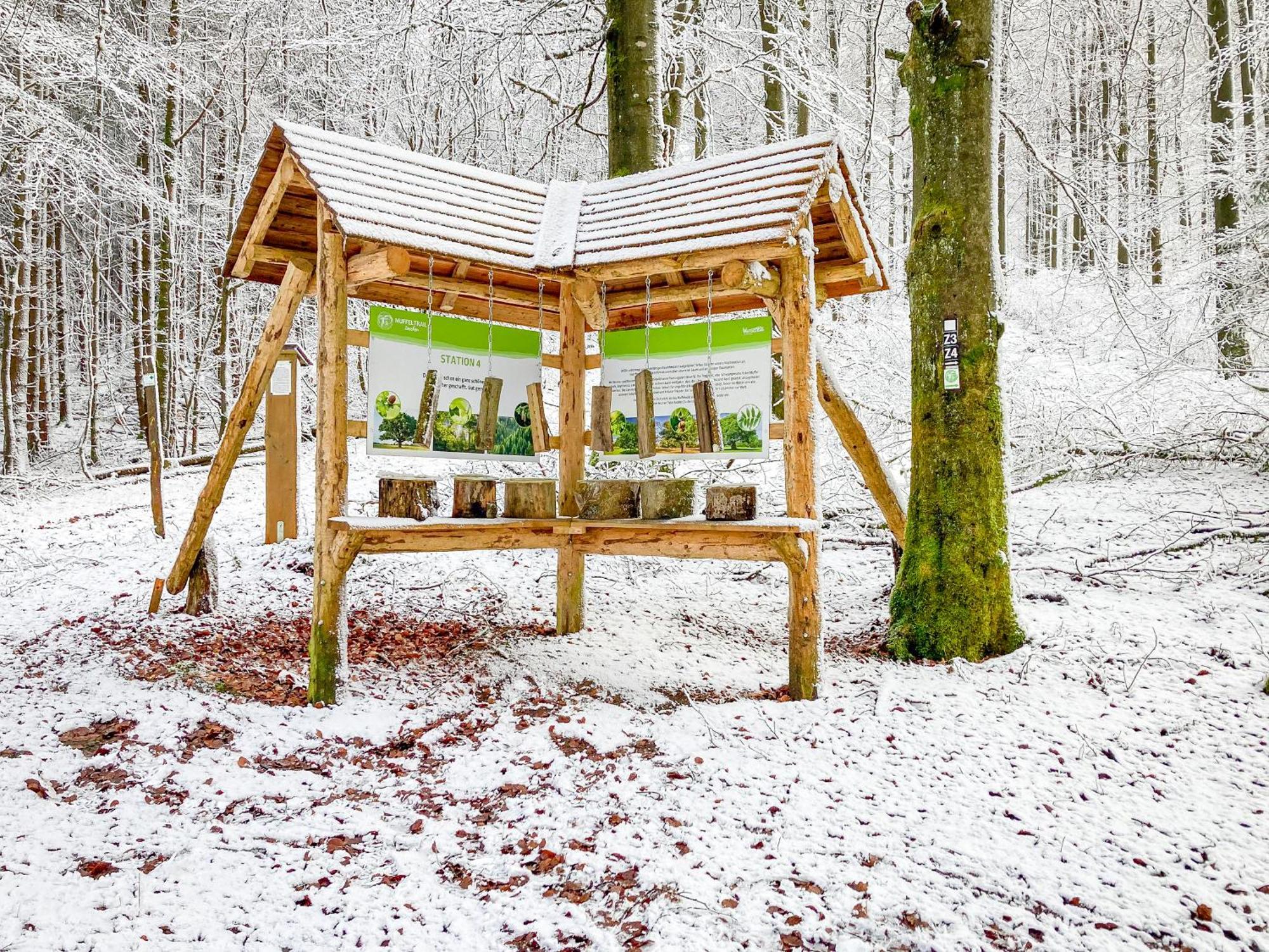 Alte Schule Winterberg Luxury Apartments Екстер'єр фото